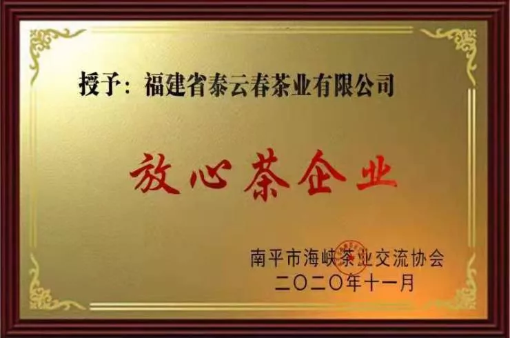 公司荣誉