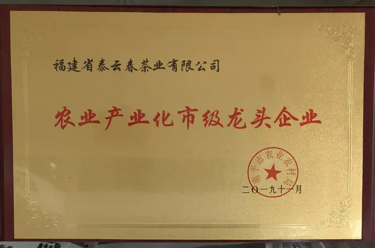公司荣誉