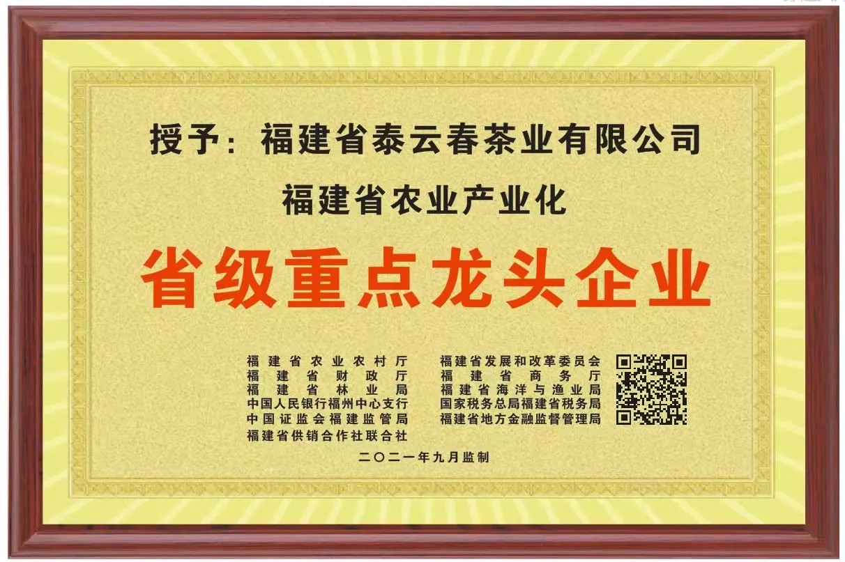 公司荣誉