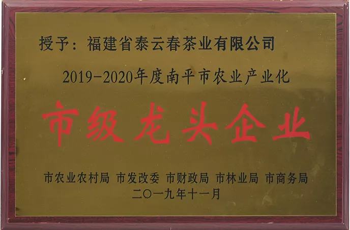 公司荣誉